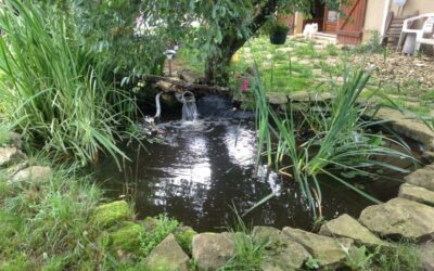 Embellir son jardin avec la pose d’un bassin d’ornement à Rioz