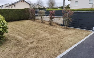 Aménagement de jardin à Besançon : et si vous confiez votre projet à un professionnel des espaces verts ?